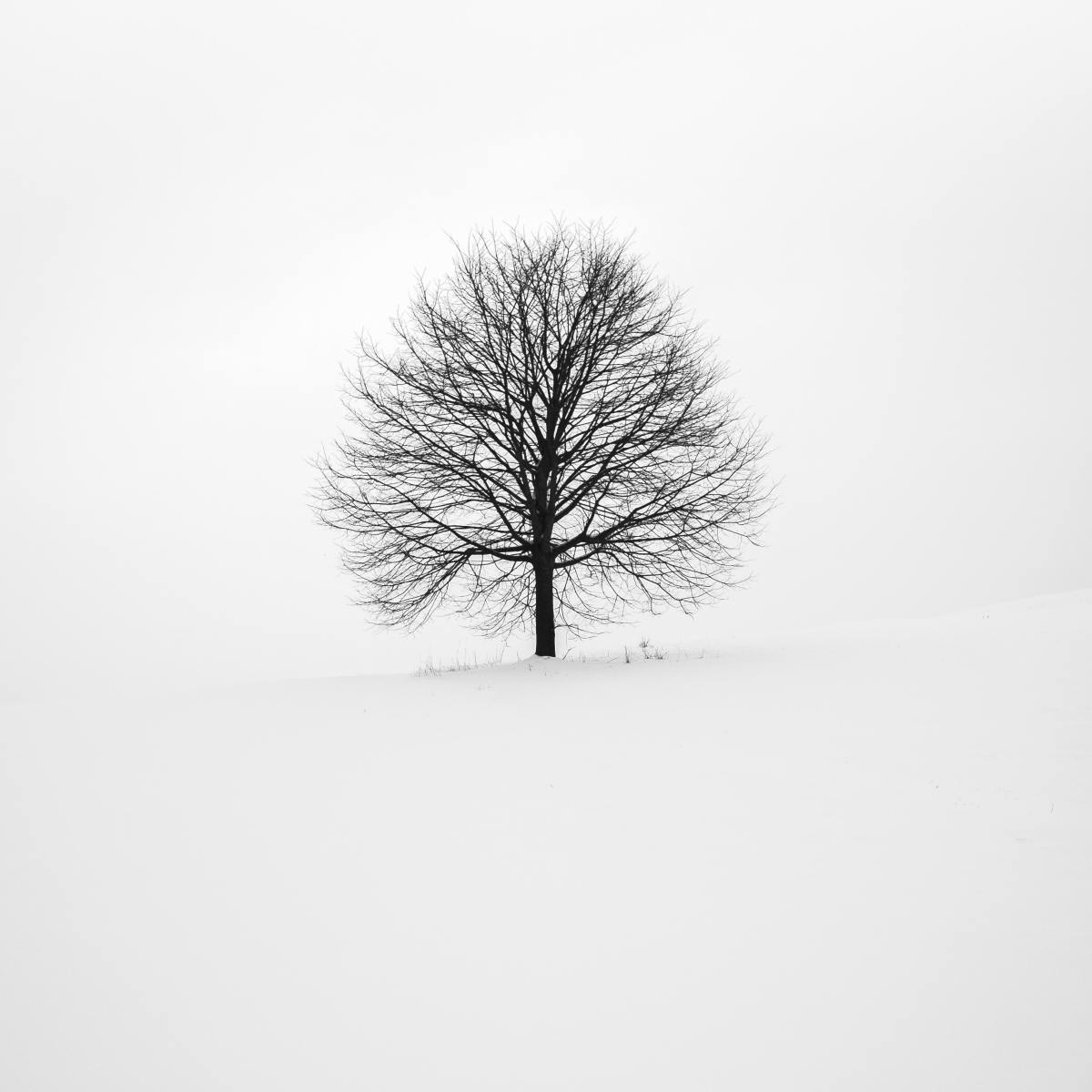 Feel Like Giving Up? Words of Encouragement – Anitra&nbsp;Lahiri