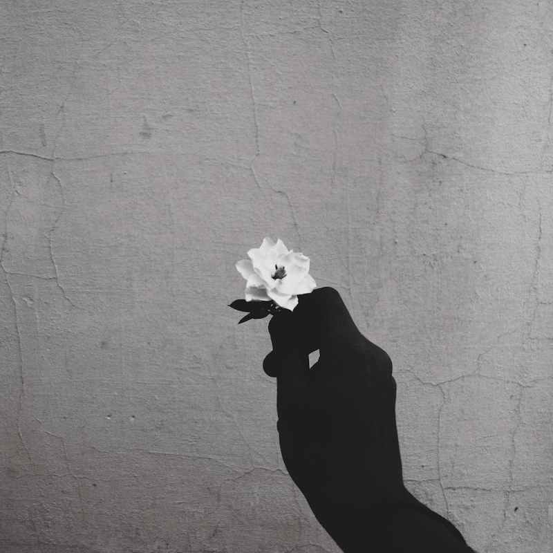 To HSPs: Embracing Your Sensitivity – Anitra&nbsp;Lahiri