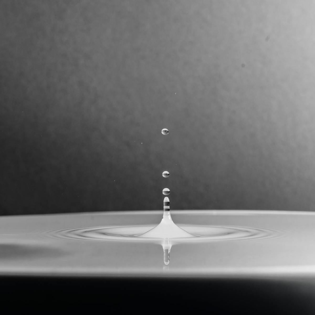 Made Mistakes? On Falling … and Rising Again – Anitra&nbsp;Lahiri