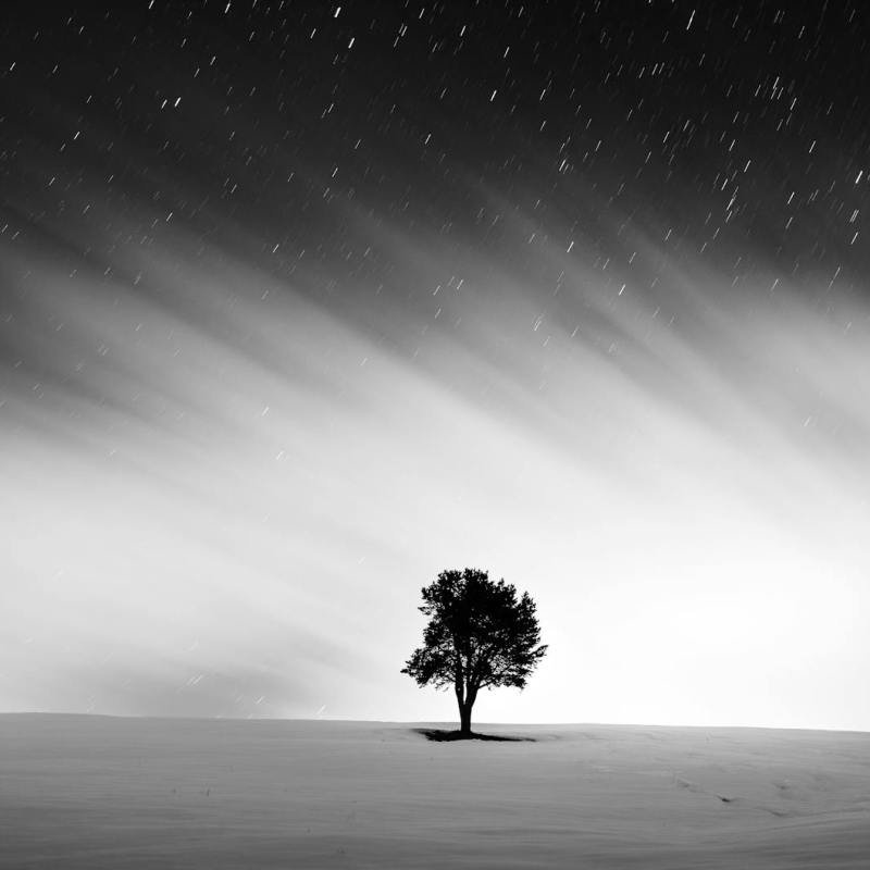 To Fear – Anitra&nbsp;Lahiri